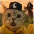 头像